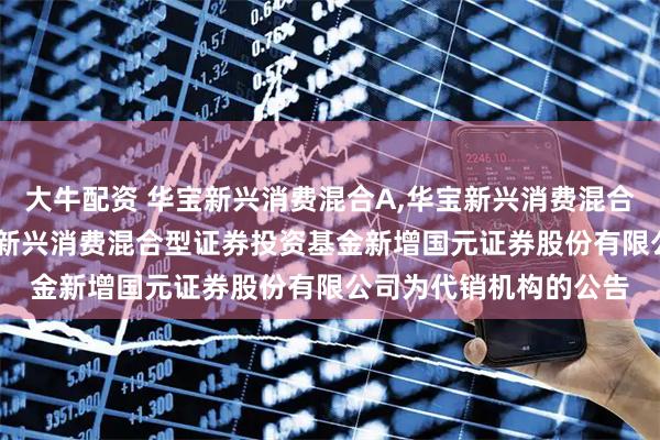 大牛配资 华宝新兴消费混合A,华宝新兴消费混合C: 华宝基金关于华宝新兴消费混合型证券投资基金新增国元证券股份有限公司为代销机构的公告