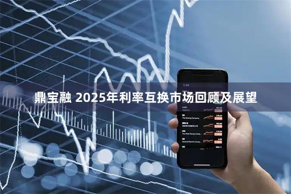 鼎宝融 2025年利率互换市场回顾及展望